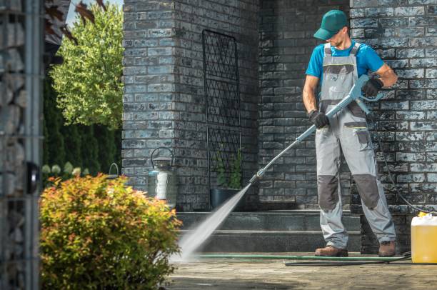 Best Soft Washing  in Waggaman, LA